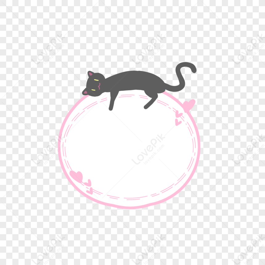 Miss circle cat