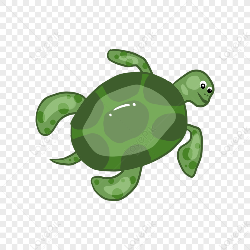 Cartoon Green Turtle Illustration, Cartoon Vector, Turtle Vector ...