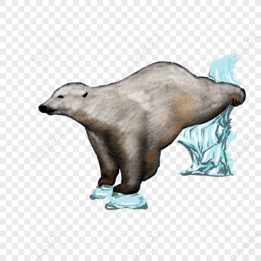 Cartoon Polar Bear Creative Illustration PNG Image And Clipart Image For  Free Download - Lovepik | 401300518