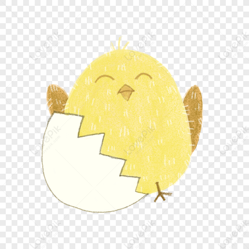 Childrens Illustration Style Cute Broken Shell Chick Free PNG And ...