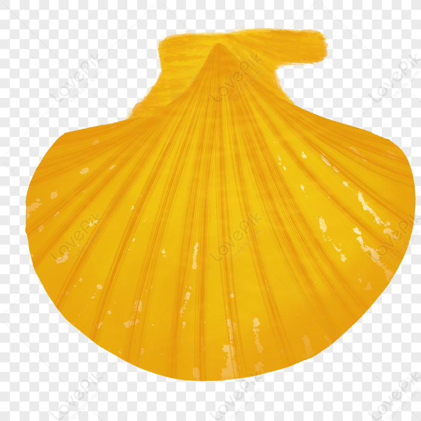 Cockleshell, Paint Yellow, Orange Yellow, Lines Orange PNG Hd ...