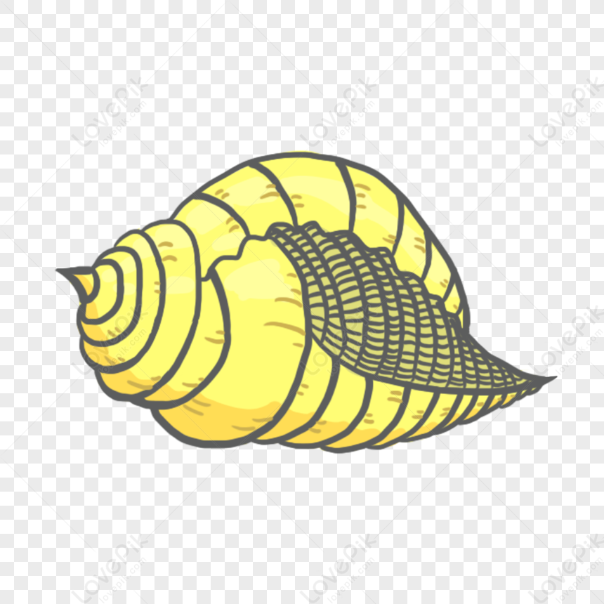 Conch PNG Image Free Download And Clipart Image For Free Download ...