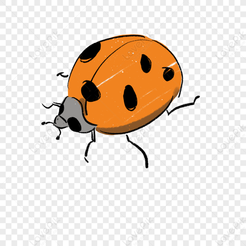 ladybird clipart no spots on ladybugs
