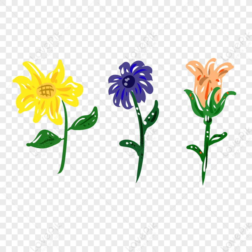Dibujado A Mano Elementos De La Planta De Crisantemo PNG Imágenes Gratis -  Lovepik