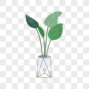 Indoor Plants PNG Images With Transparent Background | Free Download On  Lovepik