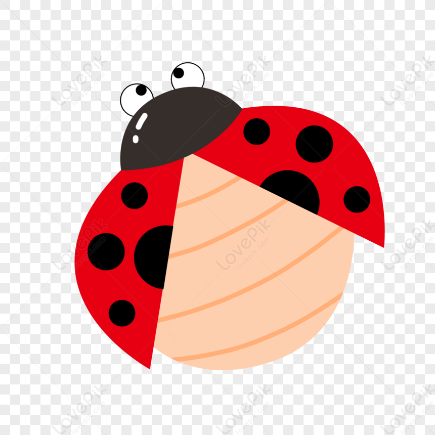 Ladybug PNG , Insect, Sete Material De Joaninha Estrela, Elementos Joaninha  PNG Imagem para download gratuito