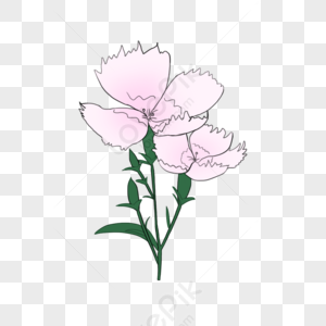 Colgantes De Flores Rosas PNG Imágenes con Fondo Transparente | Descarga  Gratuita en Lovepik.com