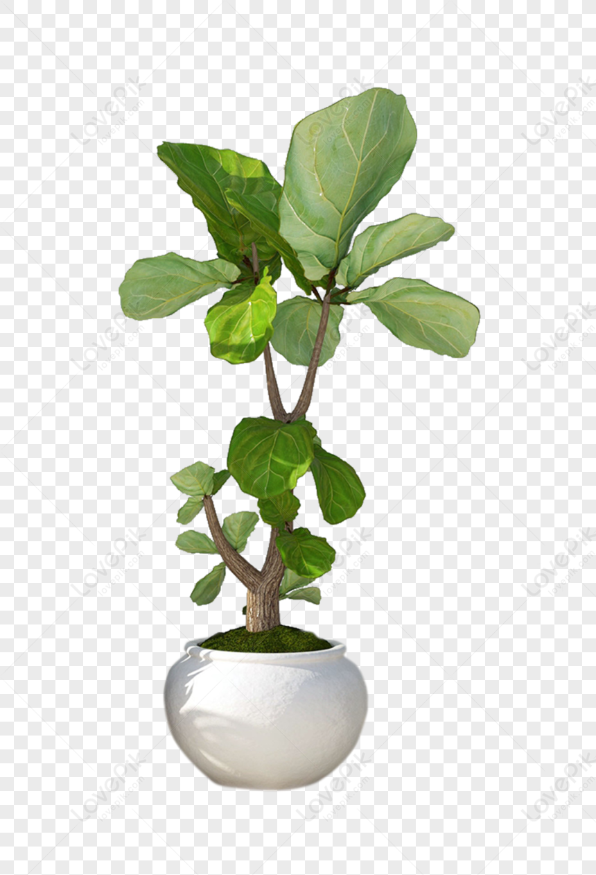 Vaso De Plantas PNG Imagens Gratuitas Para Download Lovepik