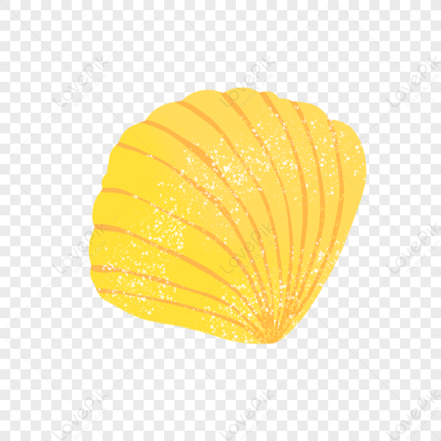 Shell PNG Picture And Clipart Image For Free Download - Lovepik | 401295805