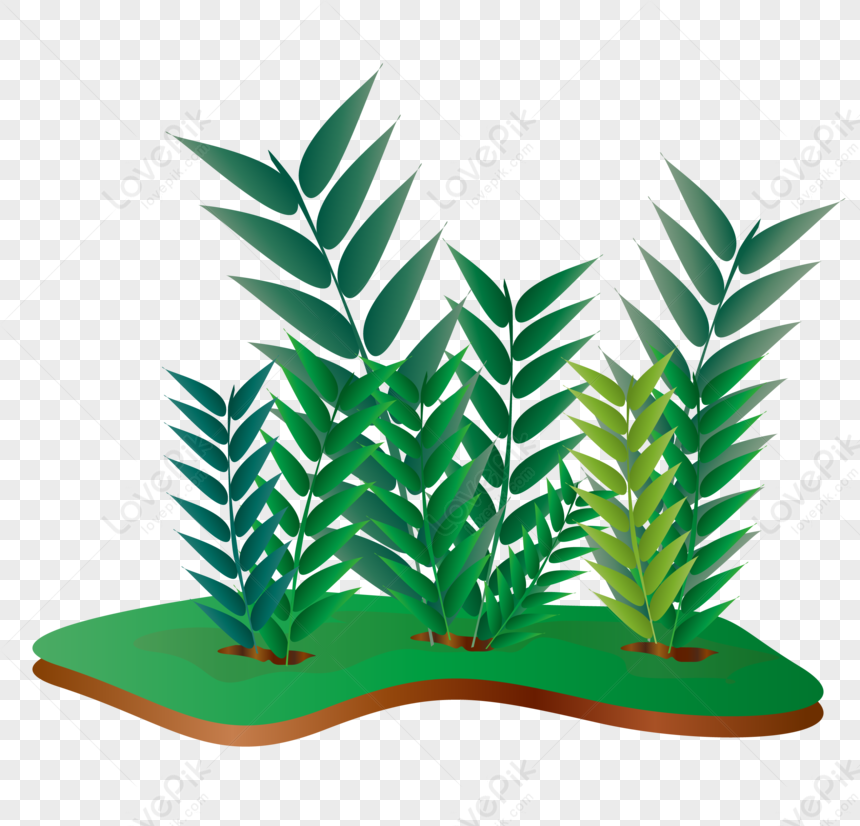 夏季熱帶雨林植物元素圖案素材, 夏天 png, 森林 png, 植物 png