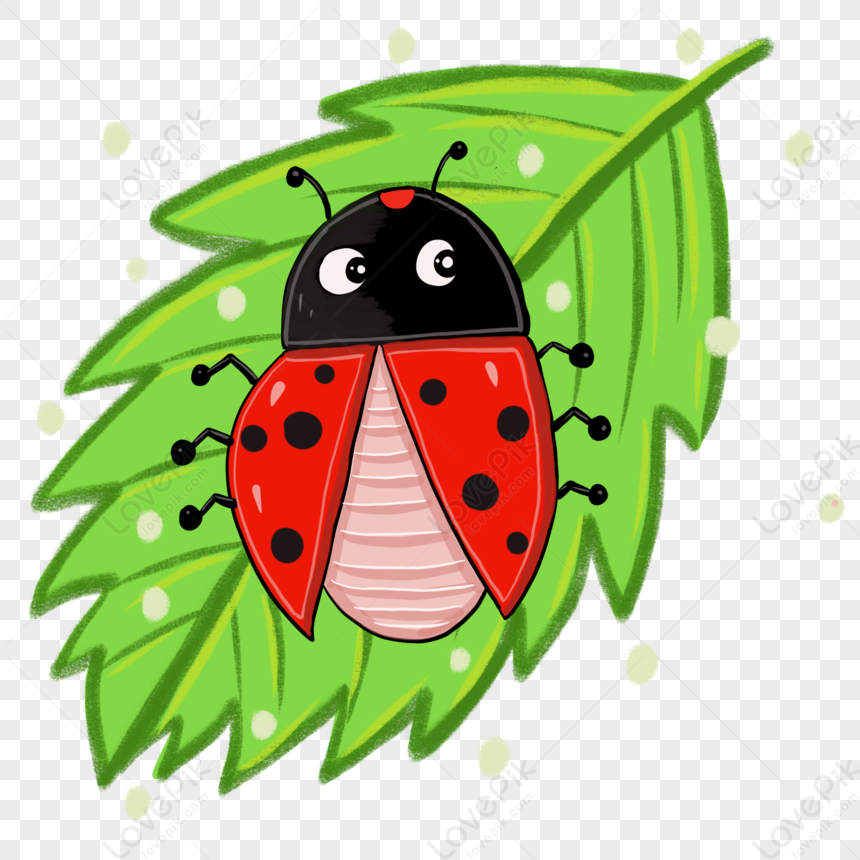 Ladybug PNG , Insect, Sete Material De Joaninha Estrela, Elementos Joaninha  PNG Imagem para download gratuito