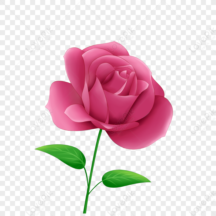 Hoa hồng: Hãy thưởng thức vẻ đẹp tuyệt vời của hoa hồng qua hình ảnh. Loại hoa đẹp và sang trọng này không chỉ sử dụng làm quà tặng mà còn có ý nghĩa sâu sắc về tình yêu và tình bạn. Chắc chắn bạn sẽ không muốn bỏ qua bức ảnh hoa hồng đẹp nhất này.