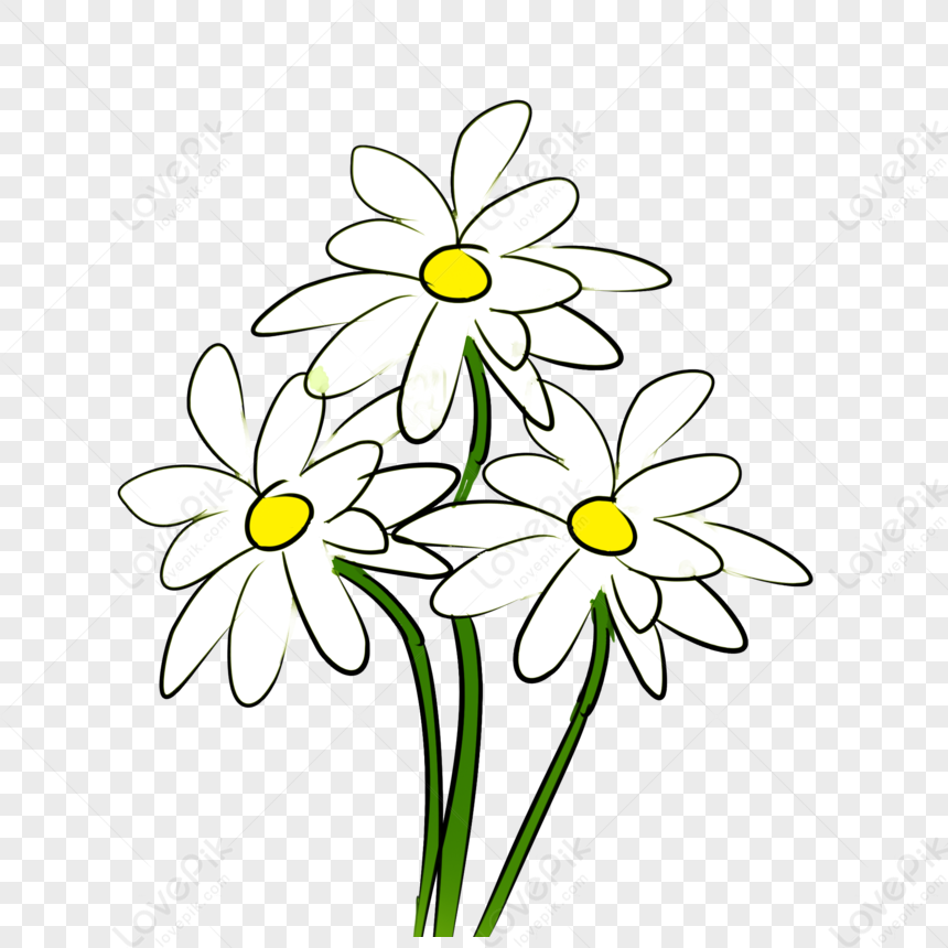White Flowers PNG Transparent Image And Clipart Image For Free Download -  Lovepik | 401293877