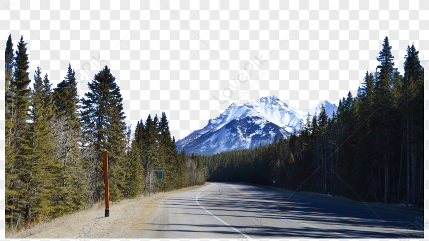 Banff National Park, Canada, Road Trees, Banff, National Park PNG Free ...