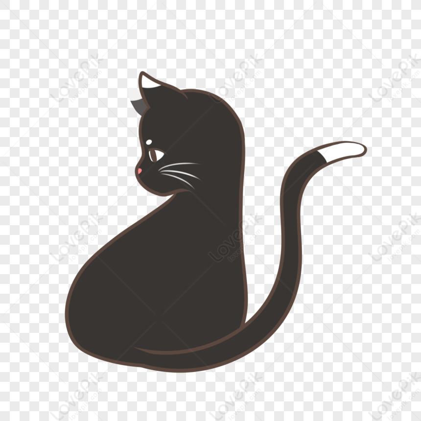 Black Cat, Black Vector, Cartoon Cat, Cat Vector PNG Image And Clipart ...