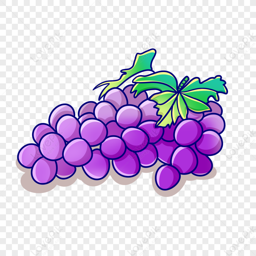 Cartoon Fruit Grape Illustration PNG White Transparent And Clipart Image  For Free Download - Lovepik | 401355232