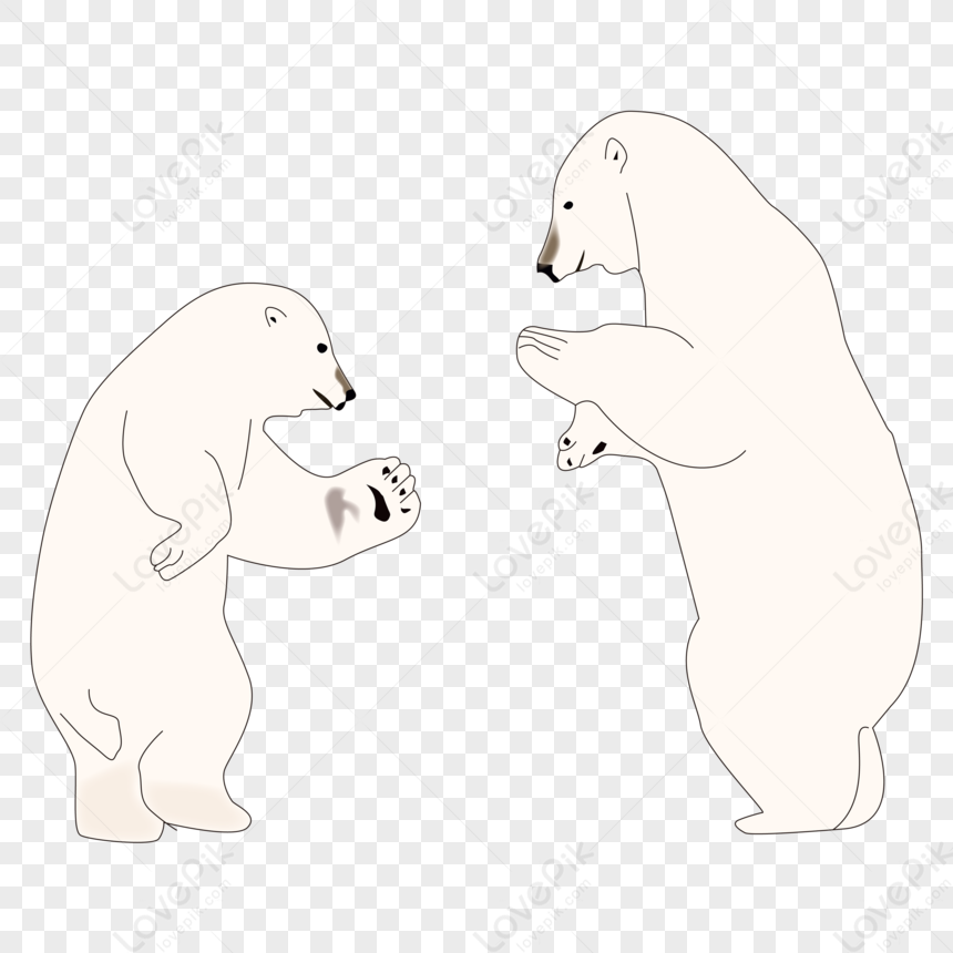 Hình ảnh Phim Hoạt Hình Vẽ Tay động Vật Dễ Thương Gấu Bắc Cực PNG ...