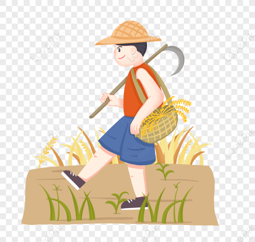 harvesting wheat clipart pictures