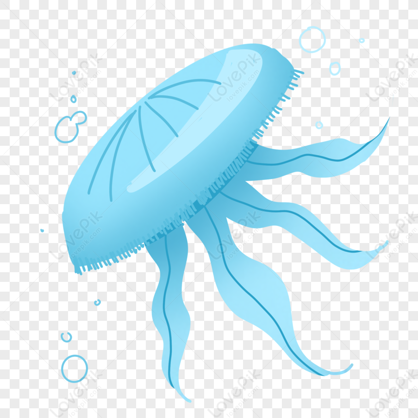 Cute Cartoon Jellyfish, Blue Jellyfish, Ocean Day, Marine Life PNG Hd ...