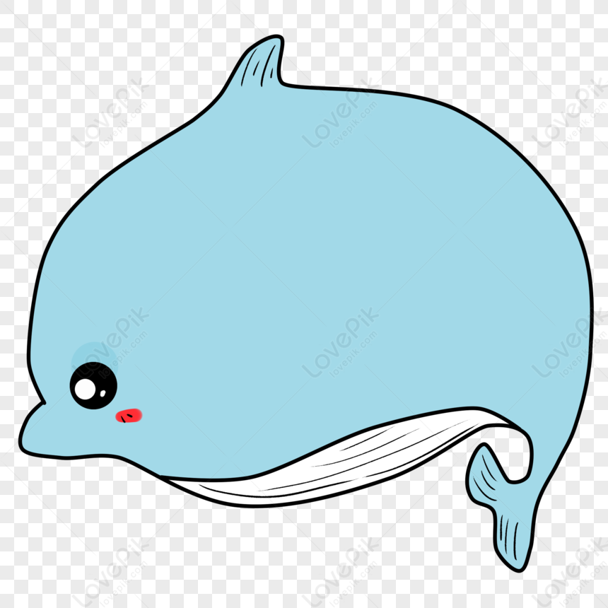 Dolphin Border PNG Picture And Clipart Image For Free Download ...