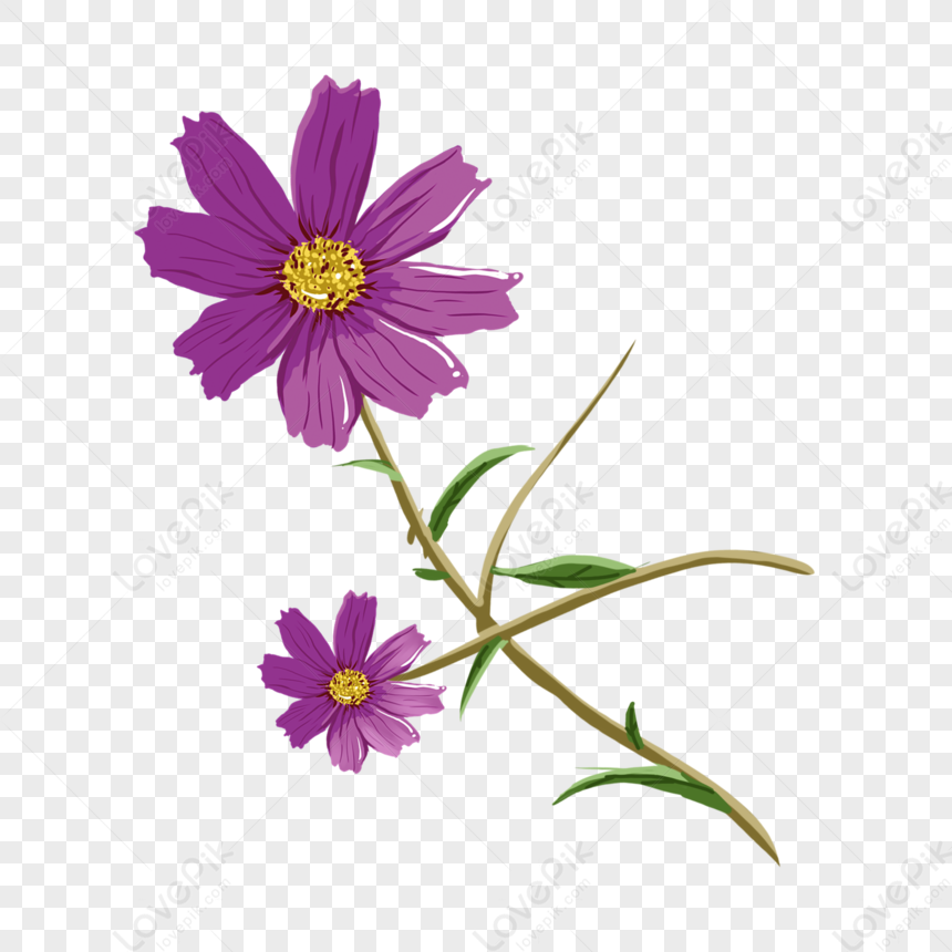 Hand Drawn Purple Flowers Floral Elements PNG Transparent Background And  Clipart Image For Free Download - Lovepik | 401332790