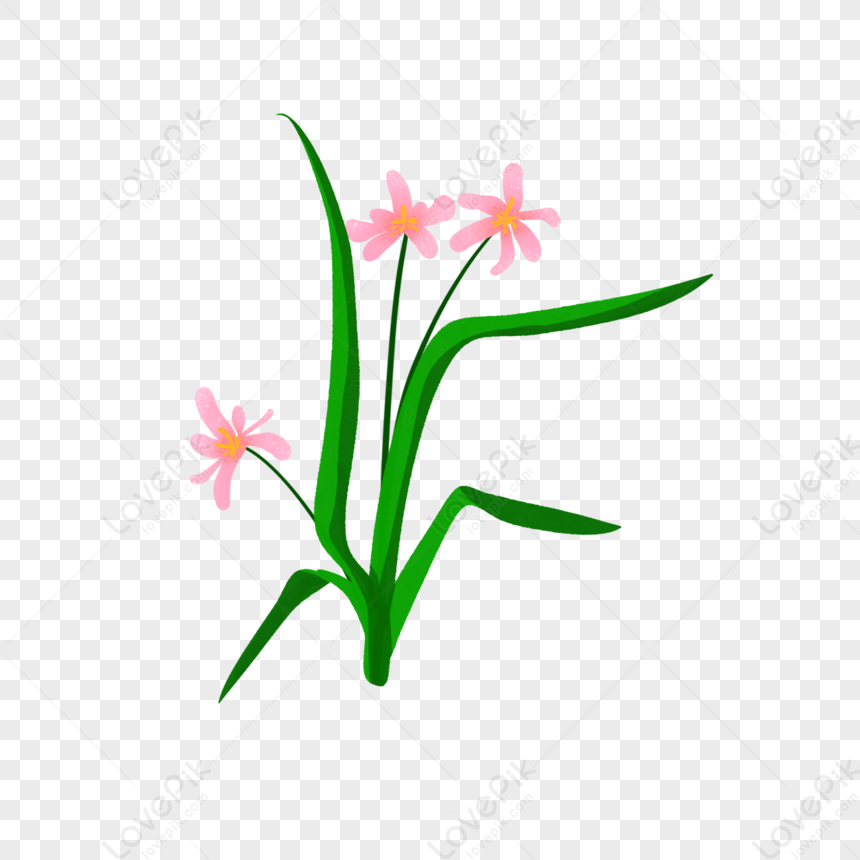 Natural Fresh Flowers, Flowers Green, Flowers Vector, Flower Flowers ...