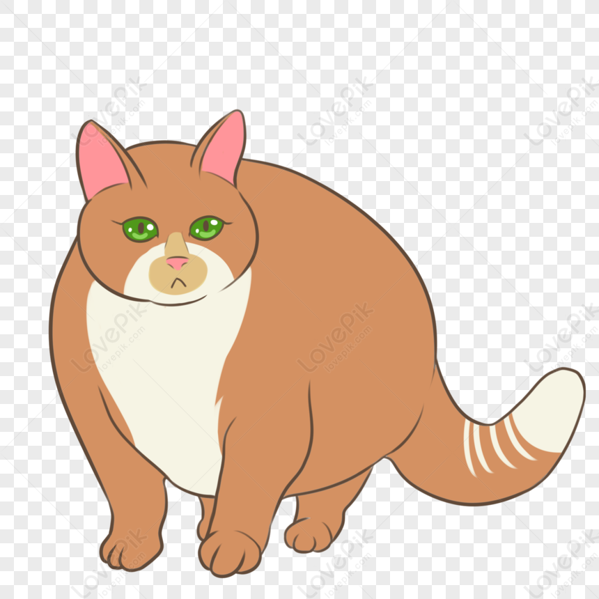 Overweight Orange Cat PNG Transparent Image And Clipart Image For Free ...