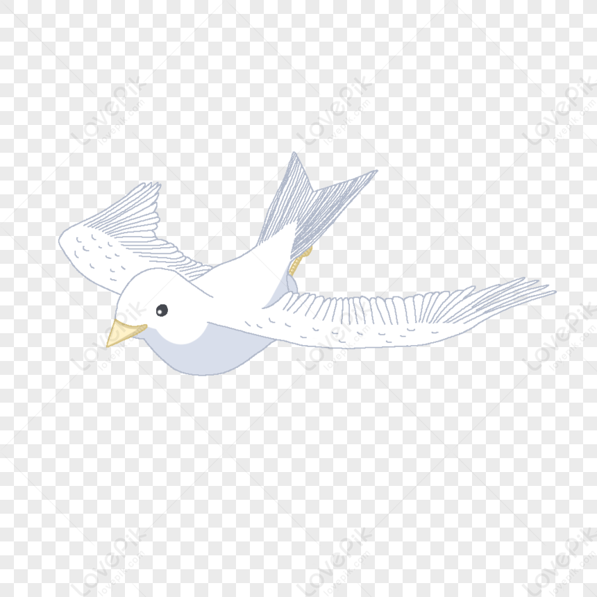 Peace Pigeon PNG Hd Transparent Image And Clipart Image For Free ...