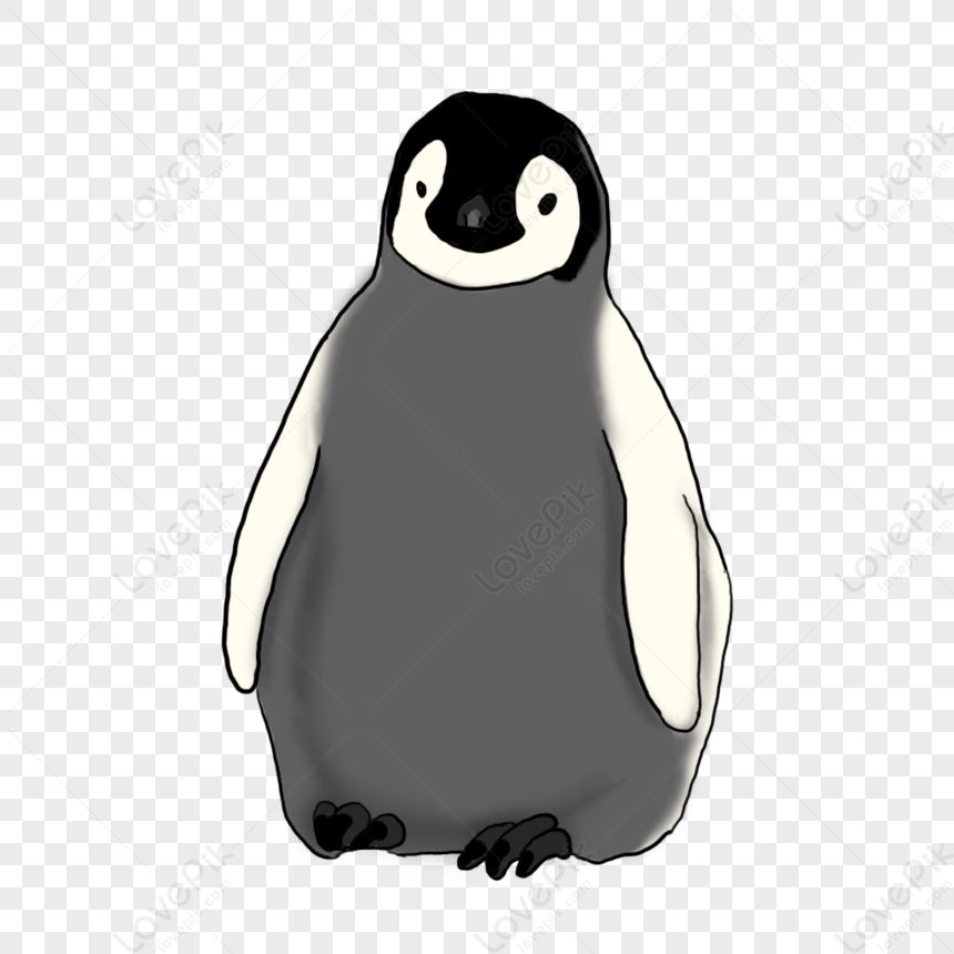 Penguin Element, Cartoon Penguin, Hand Drawn Penguin, Marine Life Free ...