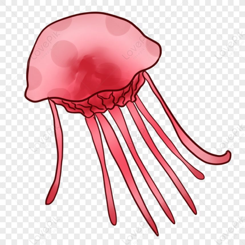 Pink Spotted Jellyfish PNG Image Free Download And Clipart Image For ...