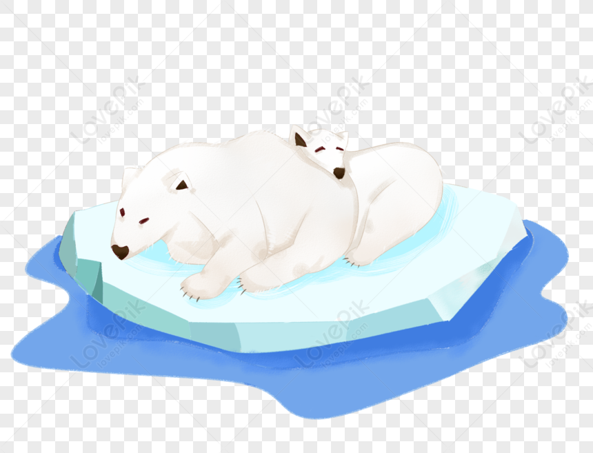 Polar Bear Bear Cartoon Baby Bear Cartoon White Png Transparent Image And Clipart Image For