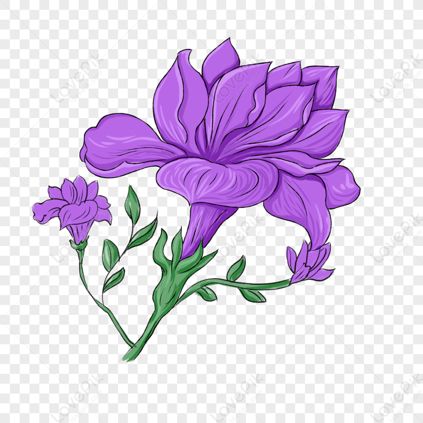 Flor Silvestre Morada PNG Imágenes Gratis - Lovepik