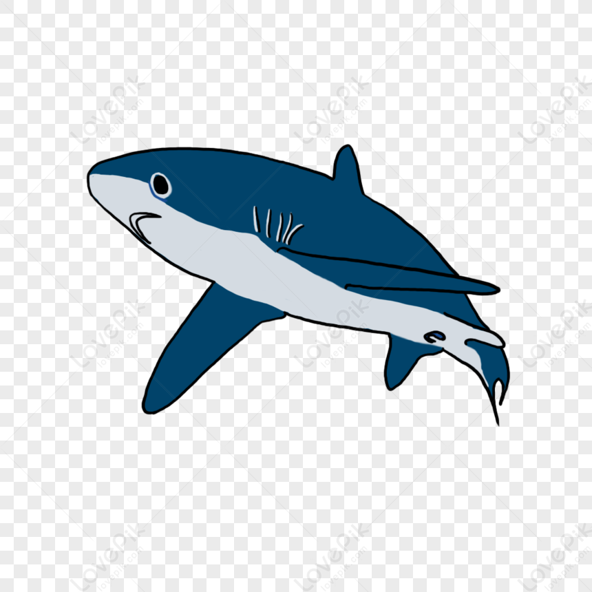 Shark Element PNG Transparent And Clipart Image For Free Download ...