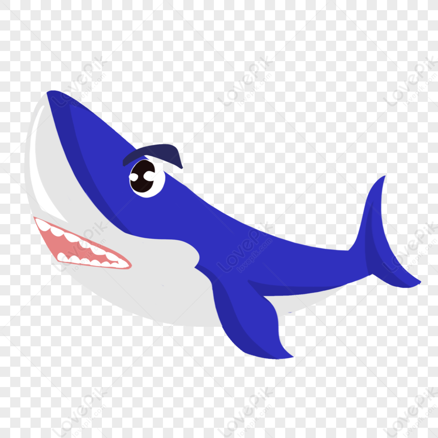 Shark, Cartoon Shark, Shark Vector, Blue Shark PNG Image Free Download ...