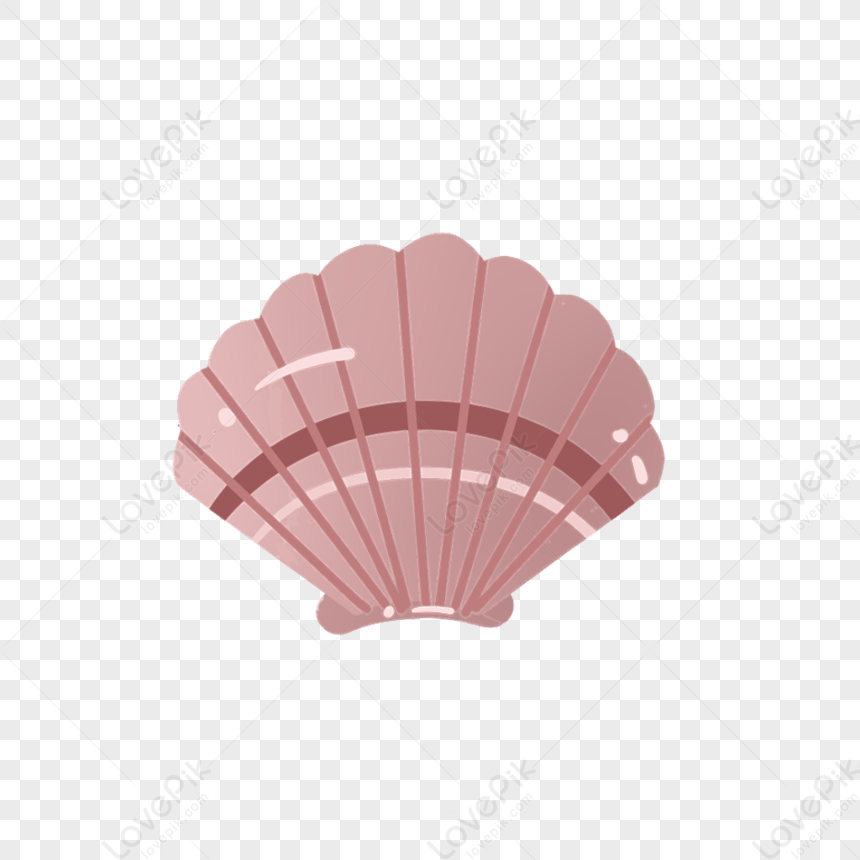 Shell PNG Picture And Clipart Image For Free Download - Lovepik | 401319615