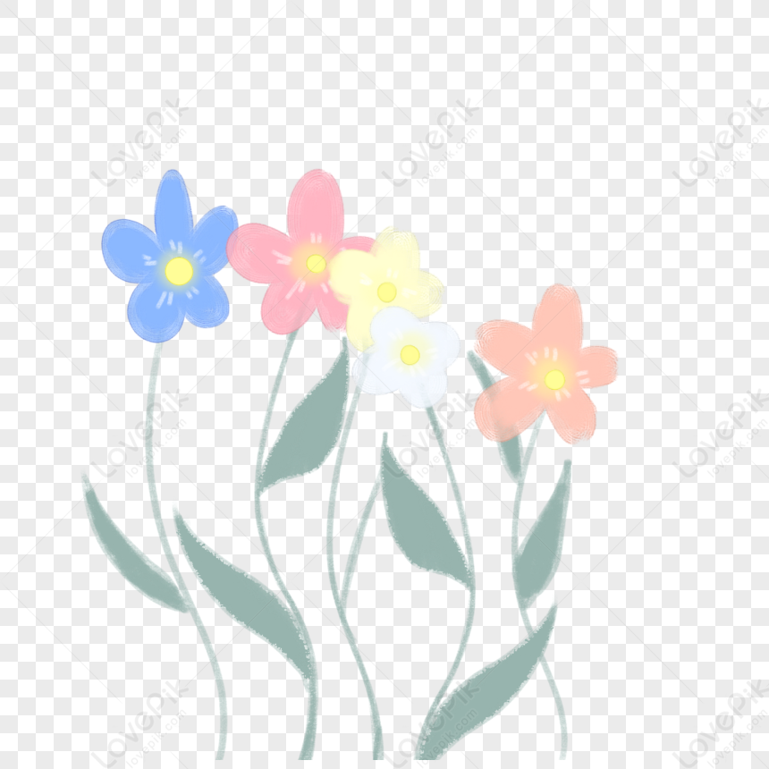 Small Flower, Flower White, Flower Flowers, Flower Light PNG White ...