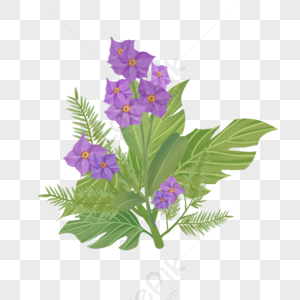 Flowers And Plants PNG Images With Transparent Background | Free ...