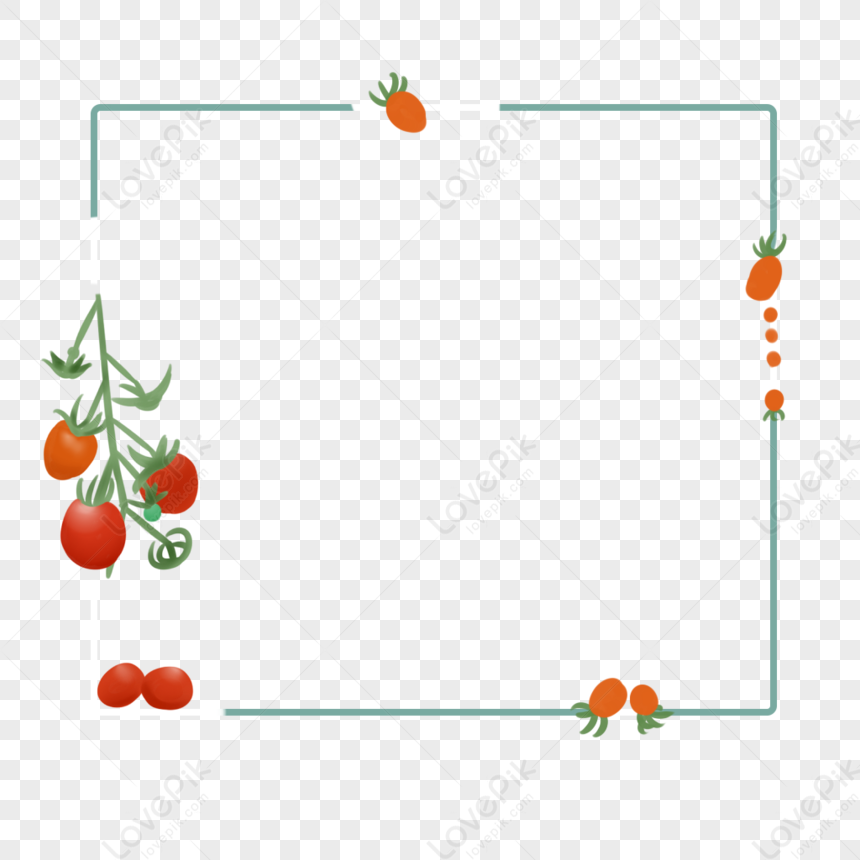 Tomato Border, Fruit Tomato, Fruit Plant, Tomato Vegetable PNG White ...