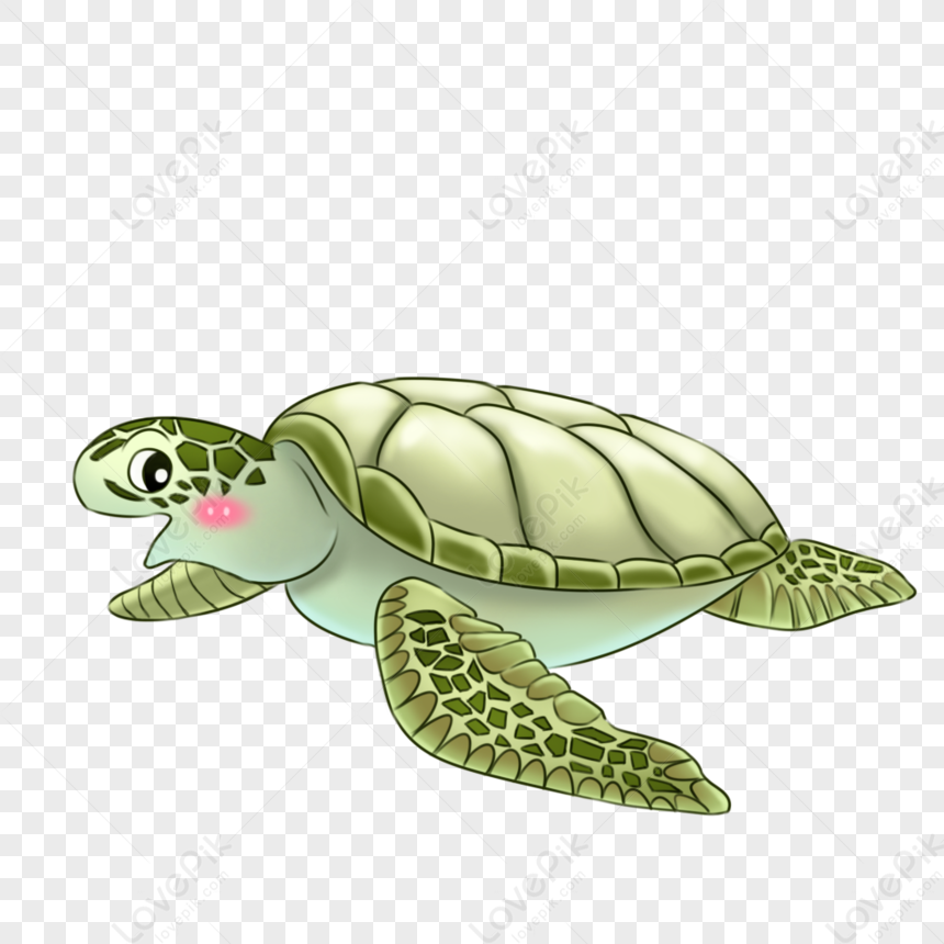 Turtle, Green Turtle, Turtle Vector, Sea Turtle PNG Picture And Clipart ...