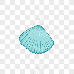 Seashell Clipart PNG Images With Transparent Background | Free Download ...