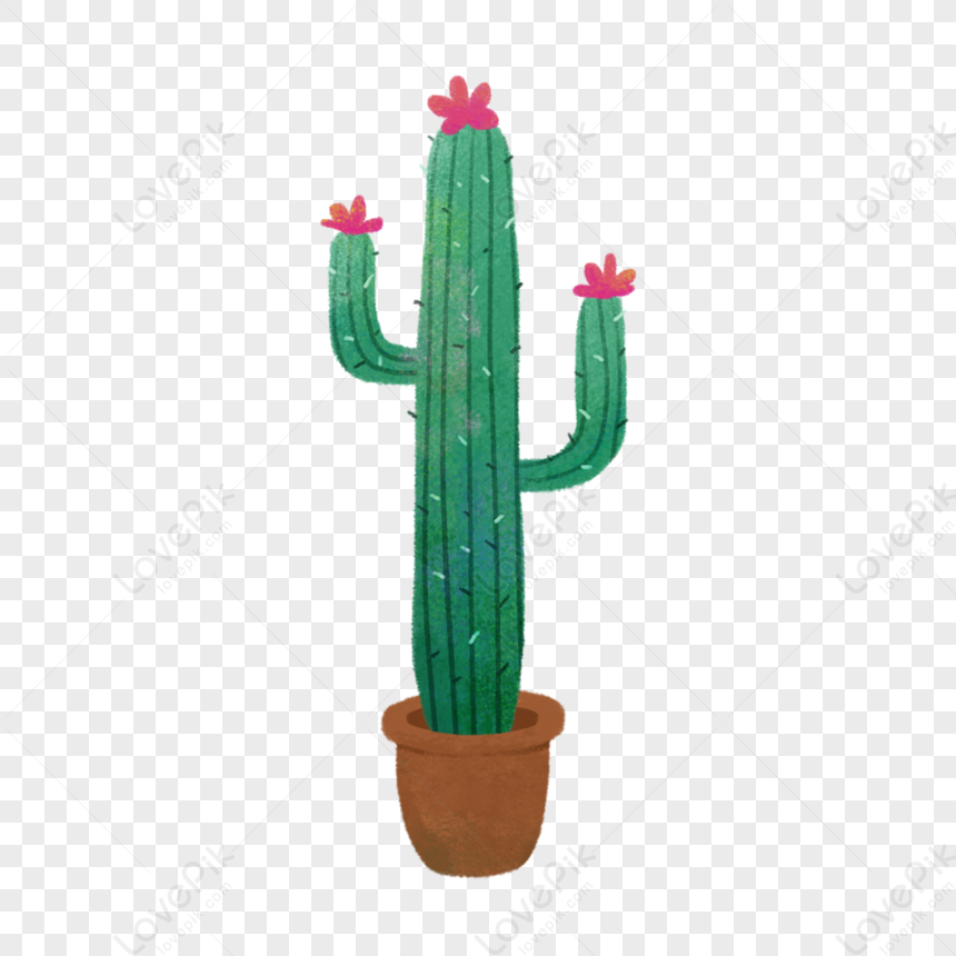 Cactus, Desenho, Saguaro png transparente grátis