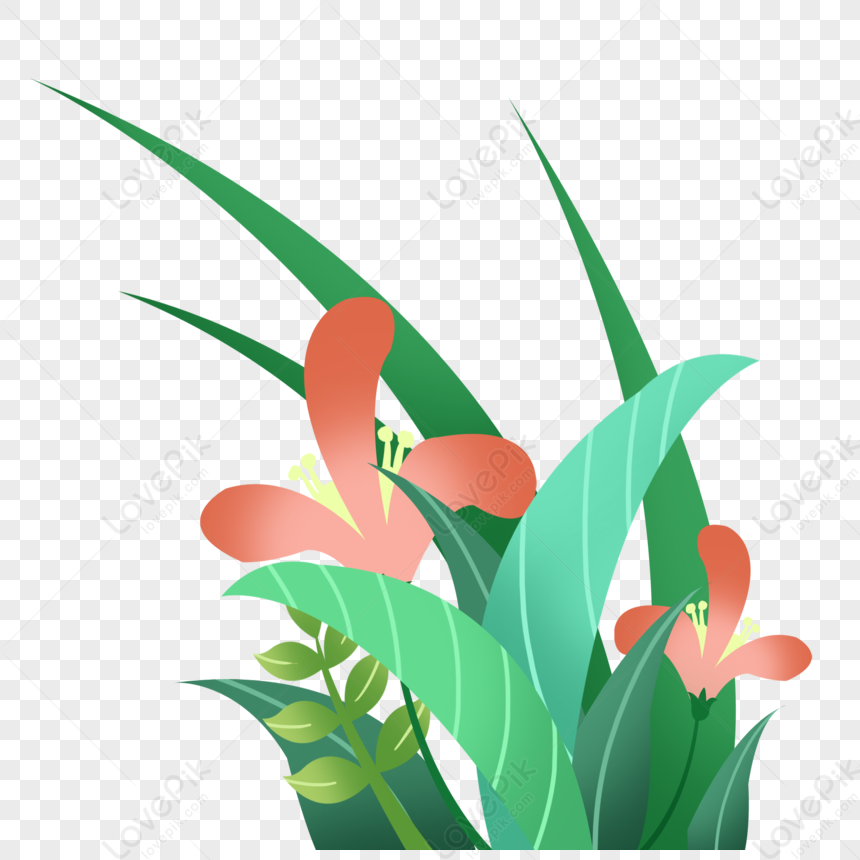 Cartoon Green Botanical Illustration PNG Image And Clipart Image For ...