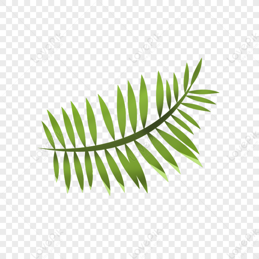 Fond vert fond feuilles dessin nature debutante green leaf bg green bg  drawing, fond , feuilles , vert - PNG gratuit - PicMix