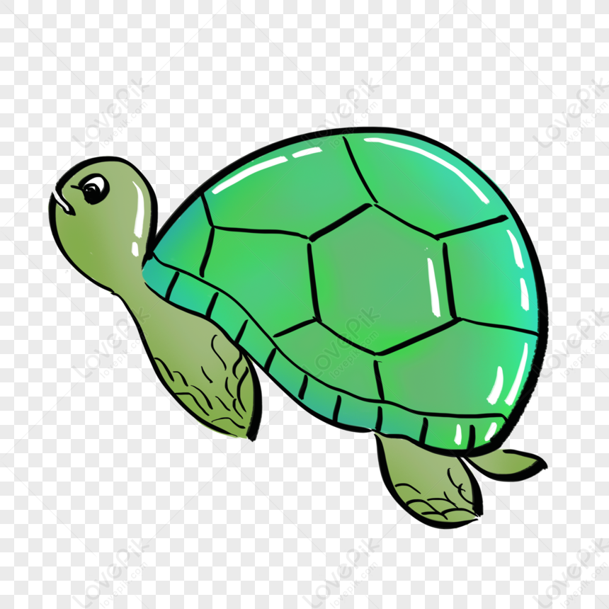 Hand Drawn Cartoon Turtle Png Free Material PNG Transparent And Clipart  Image For Free Download - Lovepik | 401408366