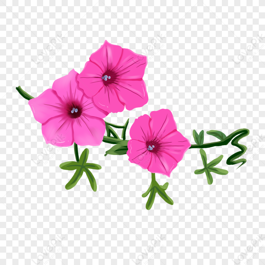 Mão Desenhada Elementos Florais De Jasmim Roxo PNG Imagens Gratuitas Para  Download - Lovepik