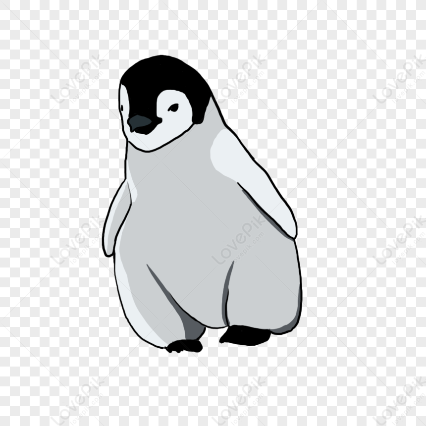 Cartoon Penguin. Vector Illustration of a Cute Penguin. Drawing Birds for  Children. Zoo for Kids. Stock Vector - Illustration of background, arctic:  157586414