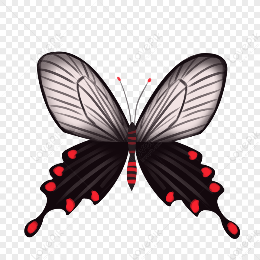 red swallowtail butterfly