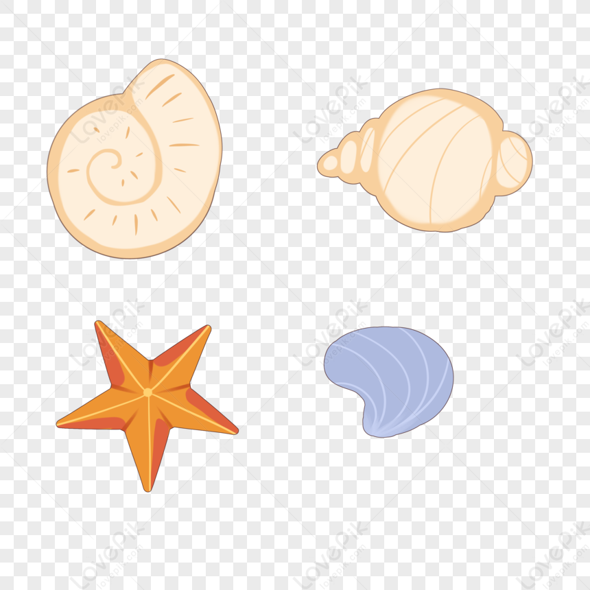 Shell PNG Transparent And Clipart Image For Free Download - Lovepik ...
