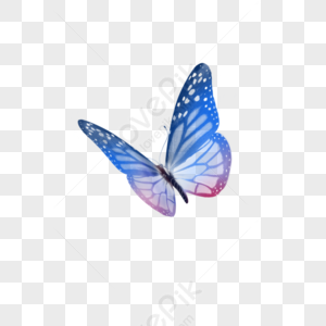 Blue Butterfly PNG Images With Transparent Background | Free Download ...