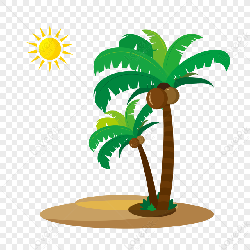 Coconut Tree Beach Summer Tropical, Tree, Summer Trees, Beach Tree PNG ...